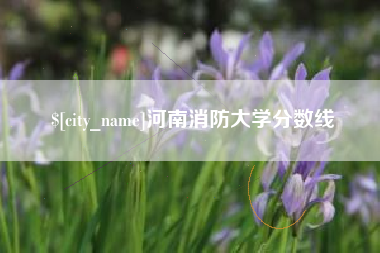 长兴河南消防大学分数线