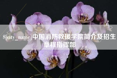 长兴中国消防救援学院简介及招生章程指挥部
