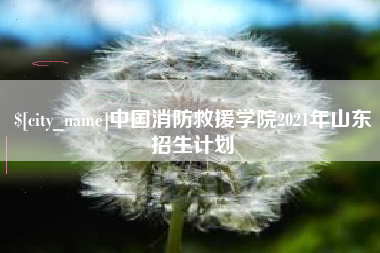 长兴中国消防救援学院2021年山东招生计划