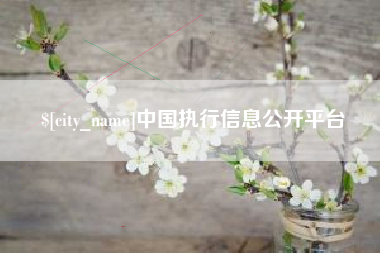长兴中国执行信息公开平台