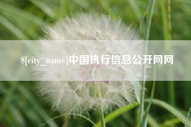 长兴中国执行信息公开网网