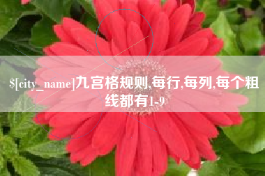 长兴九宫格规则,每行,每列,每个粗线都有1-9