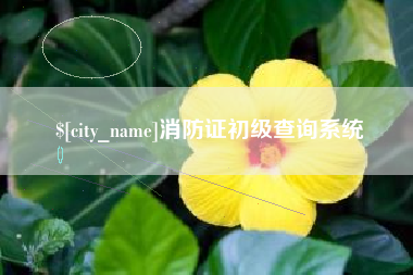 长兴消防证初级查询系统
