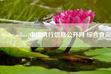 长兴中国执行信息公开网 综合查询