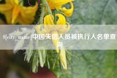 长兴中国失信人员被执行人名单查询