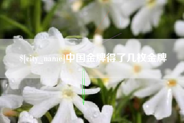长兴中国金牌得了几枚金牌