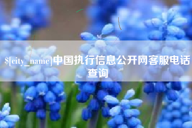 长兴中国执行信息公开网客服电话查询