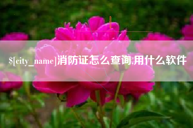 长兴消防证怎么查询,用什么软件
