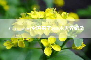 长兴全国男子5000米世界纪录