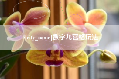 长兴数字九宫格玩法