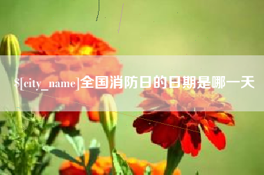 长兴全国消防日的日期是哪一天