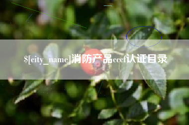 长兴消防产品cccf认证目录