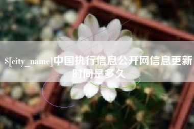 长兴中国执行信息公开网信息更新时间是多久