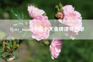 长兴中国十大金牌律师名单