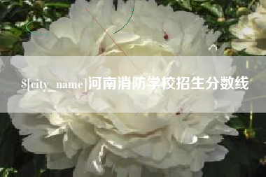 长兴河南消防学校招生分数线