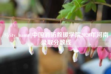 长兴中国消防救援学院2020年河南录取分数线