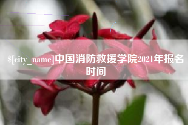 长兴中国消防救援学院2021年报名时间