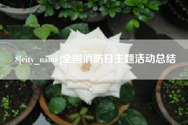 长兴全国消防日主题活动总结