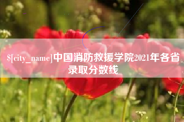长兴中国消防救援学院2021年各省录取分数线