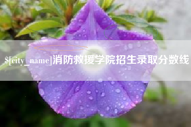 长兴消防救援学院招生录取分数线
