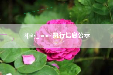 长兴执行信息公示