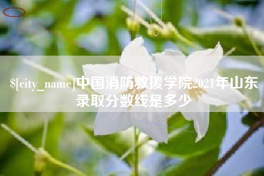 长兴中国消防救援学院2021年山东录取分数线是多少