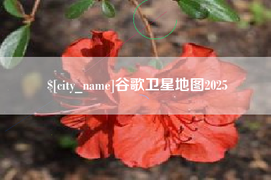长兴谷歌卫星地图2025