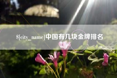 长兴中国有几块金牌排名