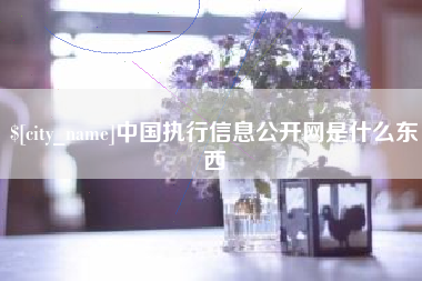 长兴中国执行信息公开网是什么东西