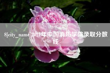 长兴2021年中国消防学院录取分数线