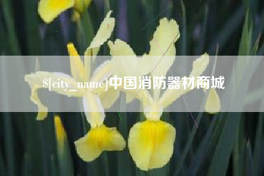 长兴中国消防器材商城