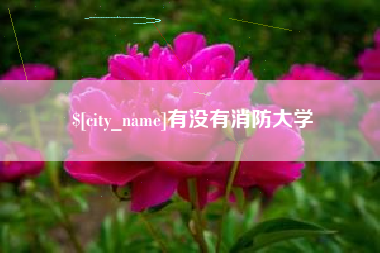 长兴有没有消防大学