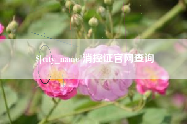 长兴消控证官网查询