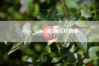 长兴金牌图片真实