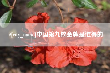 长兴中国第九枚金牌是谁得的