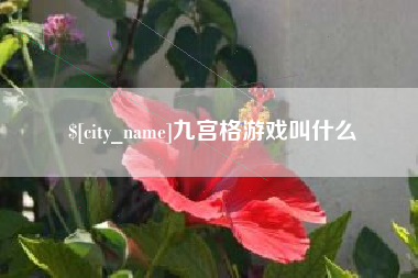 长兴九宫格游戏叫什么