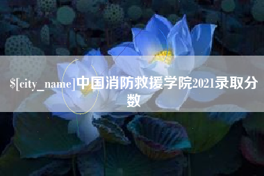 长兴中国消防救援学院2021录取分数
