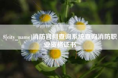 长兴消防官网查询系统查询消防职业资格证书