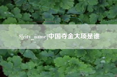 长兴中国夺金大项是谁