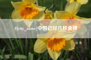长兴中国已经几枚金牌