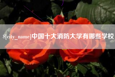 长兴中国十大消防大学有哪些学校