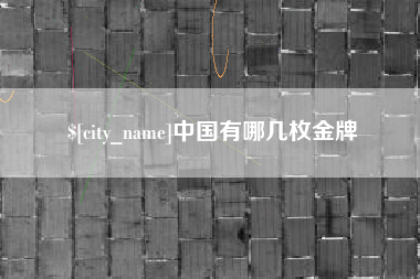 长兴中国有哪几枚金牌