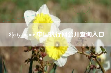长兴中国执行网公开查询入口