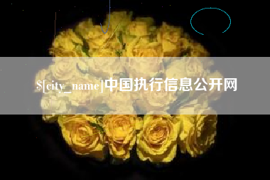 长兴中国执行信息公开网
