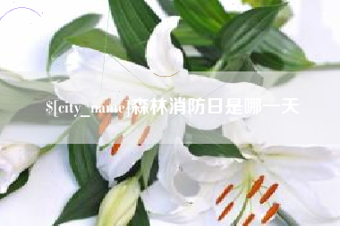 长兴森林消防日是哪一天