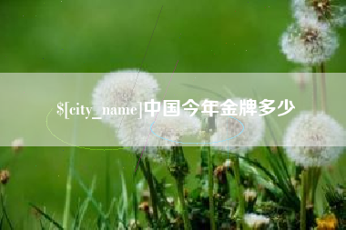 长兴中国今年金牌多少