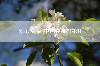 长兴中国夺金排第几