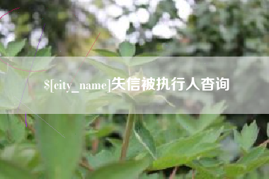长兴失信被执行人杳询