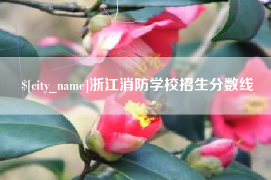 长兴浙江消防学校招生分数线
