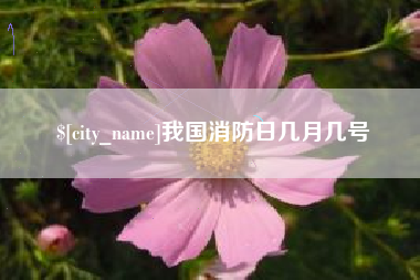 长兴我国消防日几月几号